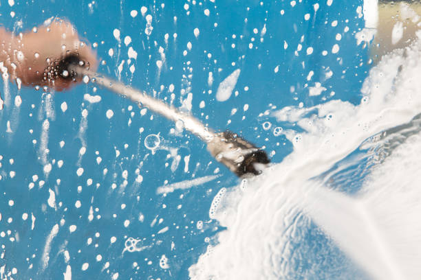 Best Animal Enclosure Cleaning  in Curtice, OH